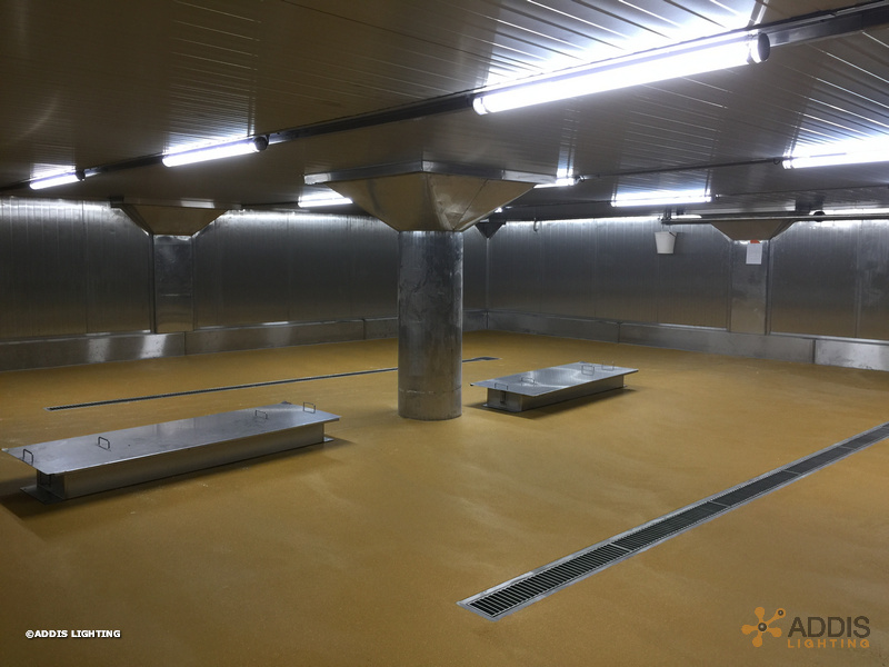 Equipement LED de deux hâloirs avec des OPALINE Tubulaire à LED