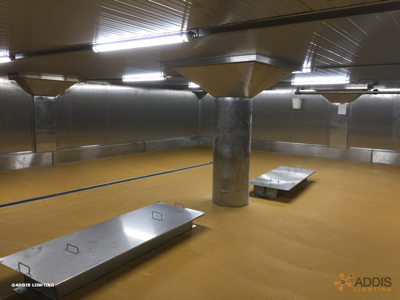 Equipement LED de deux hâloirs avec des OPALINE Tubulaire à LED