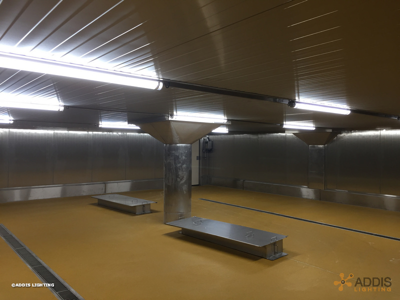 Equipement LED de deux hâloirs avec des OPALINE Tubulaire à LED