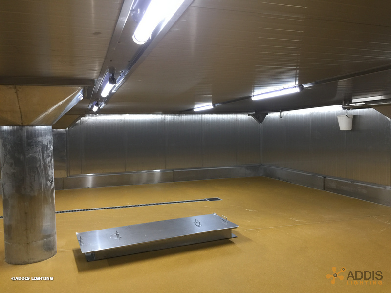 Equipement LED de deux hâloirs avec des OPALINE Tubulaire à LED
