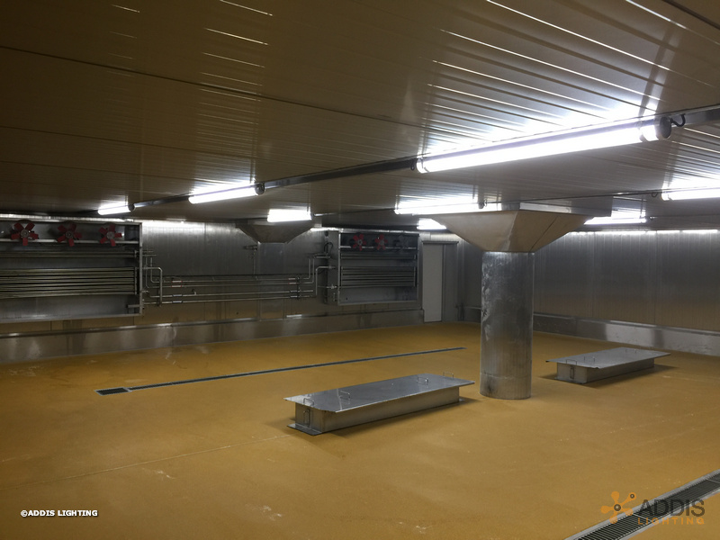 Equipement LED de deux hâloirs avec des OPALINE Tubulaire à LED